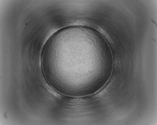 X0000099231232200805011130