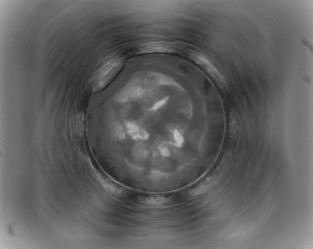 X0000099231233200805011130