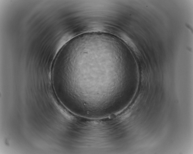 X0000099231234200805011130