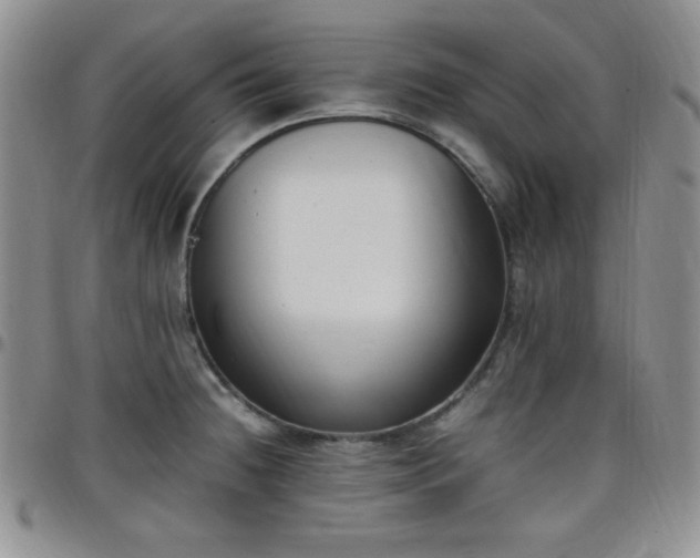 X0000099231236200805011130