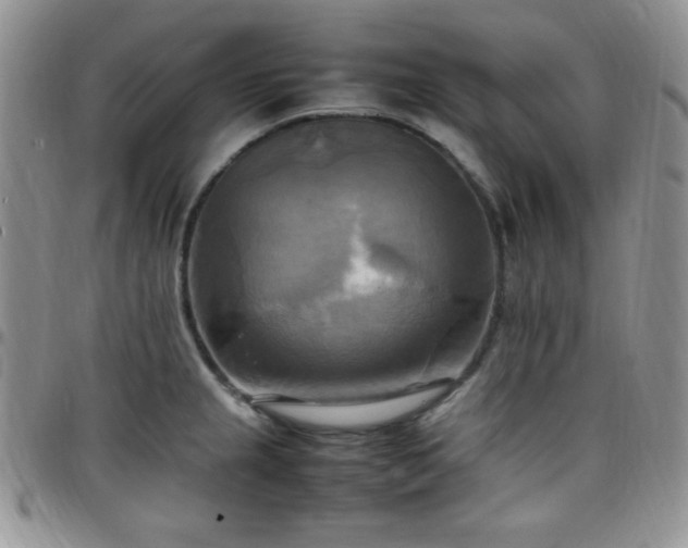 X0000099231237200805011130