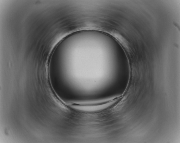 X0000099231238200805011130