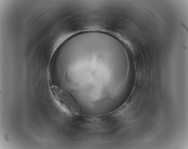 X0000099231239200805011130