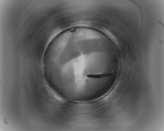 X0000099231240200805011130