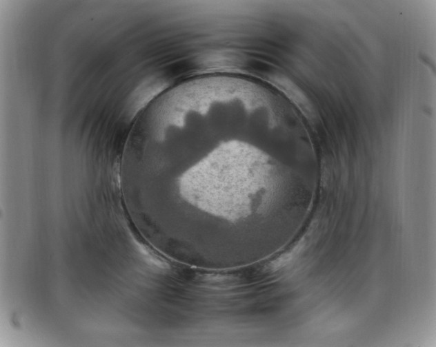 X0000099231241200805011130