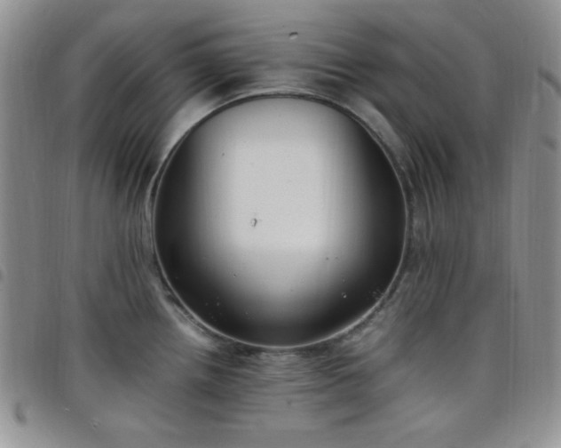 X0000099231242200805011130