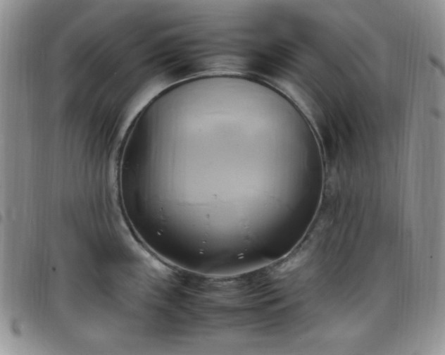 X0000099231243200805011130