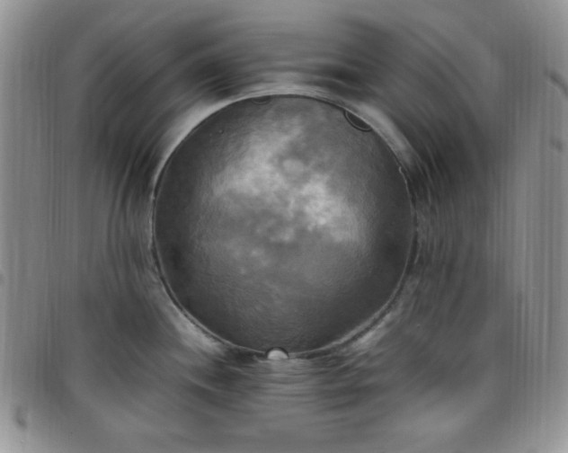 X0000099231244200805011130