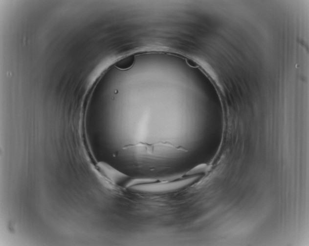 X0000099231245200805011130