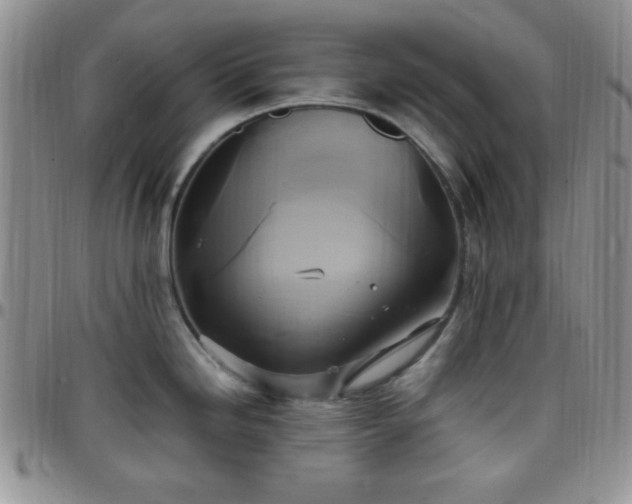 X0000099231246200805011130