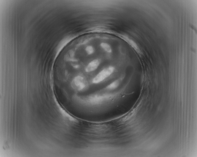 X0000099231247200805011130