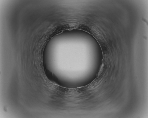 X0000099231249200805011129