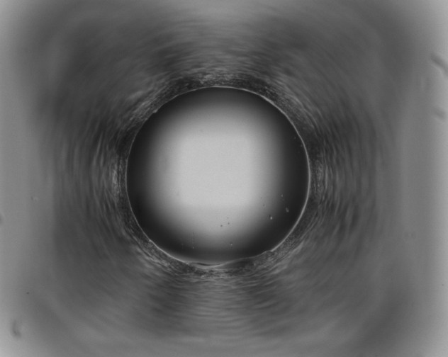 X0000099231250200805011129