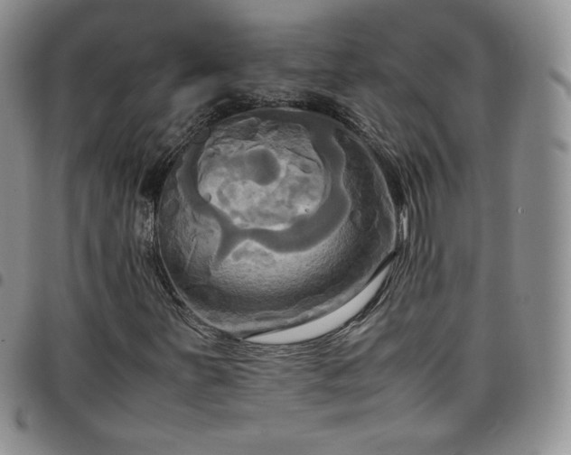 X0000099231251200805011129