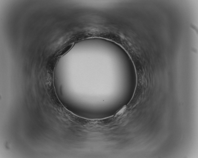 X0000099231253200805011129