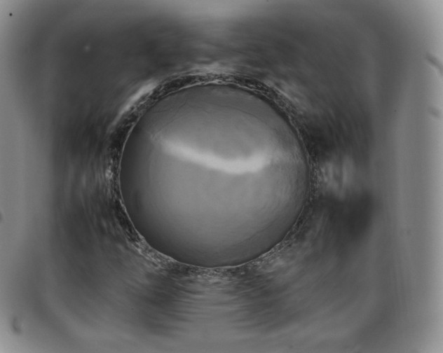 X0000099231254200805011129