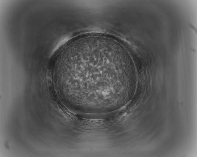 X0000099231255200805011129