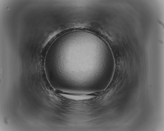 X0000099231256200805011129