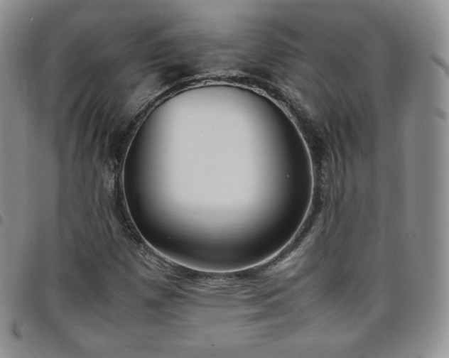 X0000099231257200805011129