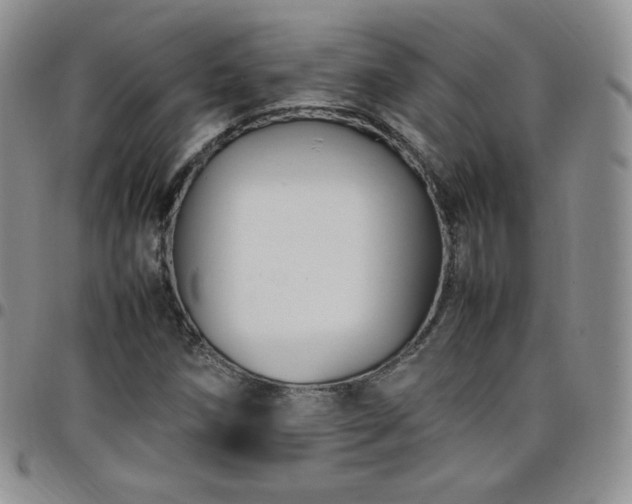 X0000099231258200805011129