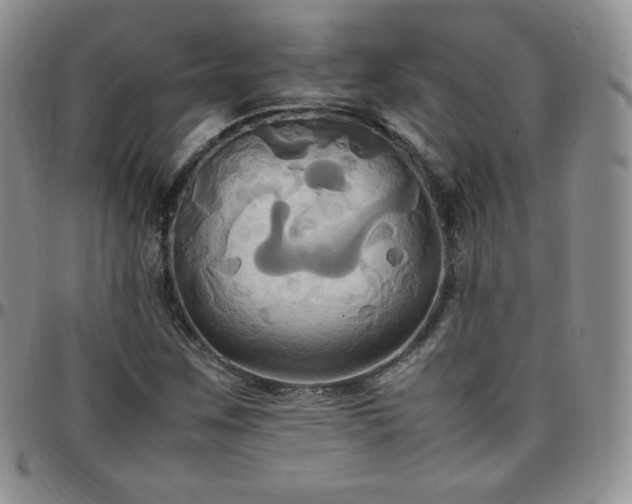 X0000099231259200805011129