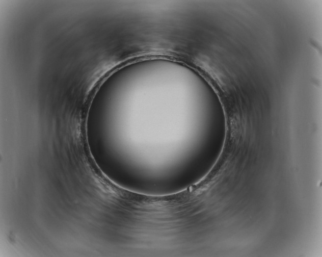 X0000099231260200805011129