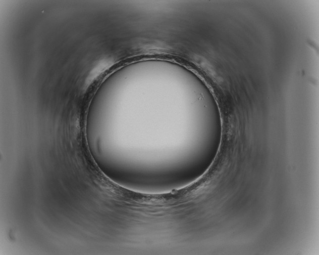 X0000099231261200805011129