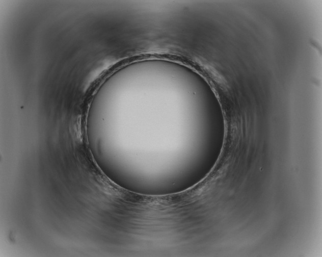 X0000099231262200805011129