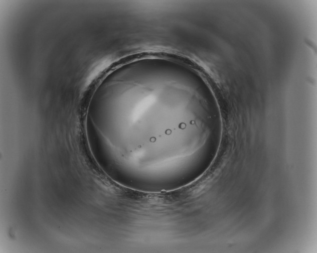 X0000099231263200805011129