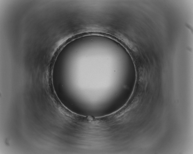 X0000099231264200805011129