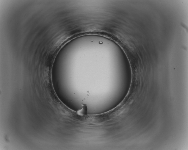 X0000099231265200805011129