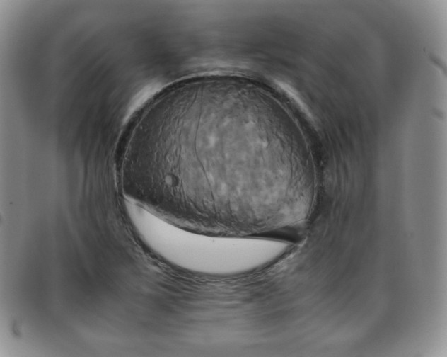 X0000099231267200805011129