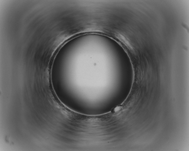 X0000099231268200805011129