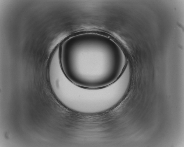 X0000099231269200805011129