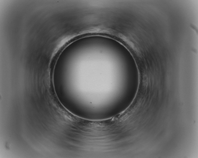 X0000099231270200805011129