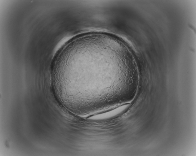 X0000099231271200805011129