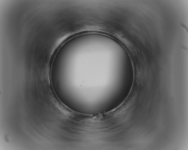 X0000099231272200805011129