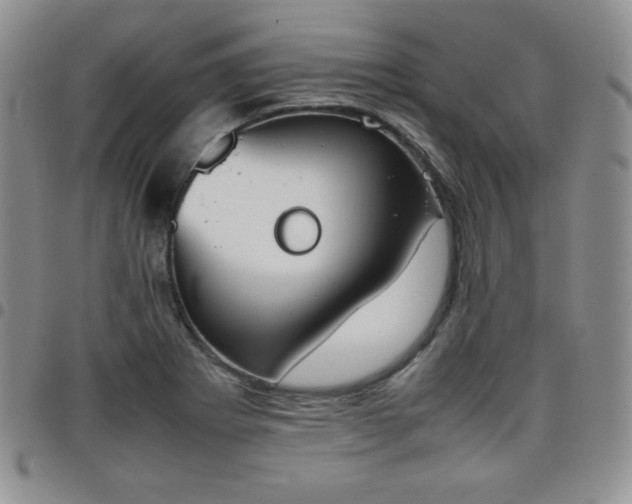 X0000099231273200805011129