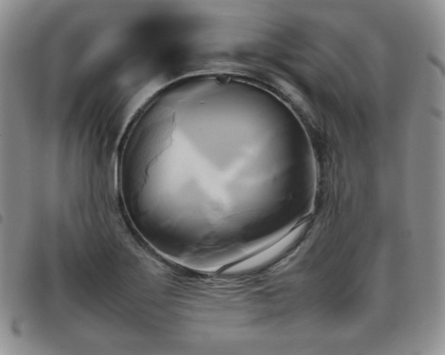 X0000099231275200805011129