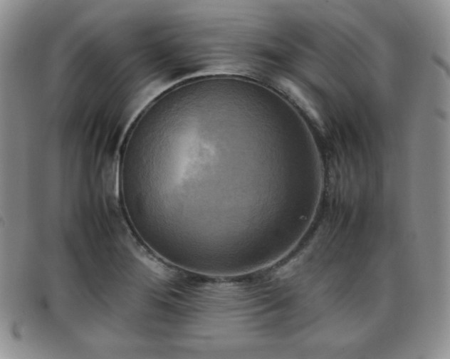 X0000099231276200805011129