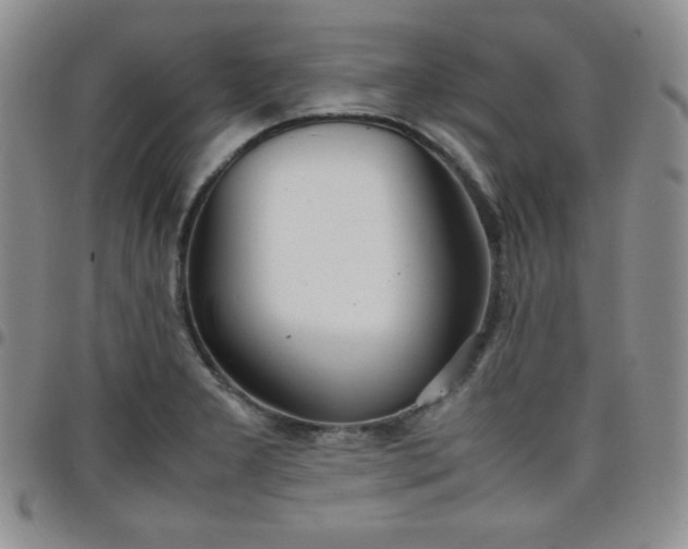 X0000099231277200805011129