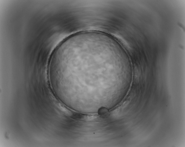 X0000099231278200805011129