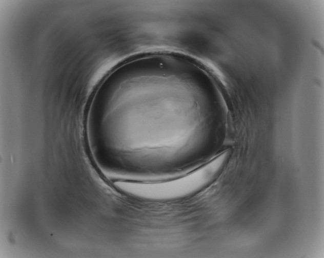 X0000099231279200805011129