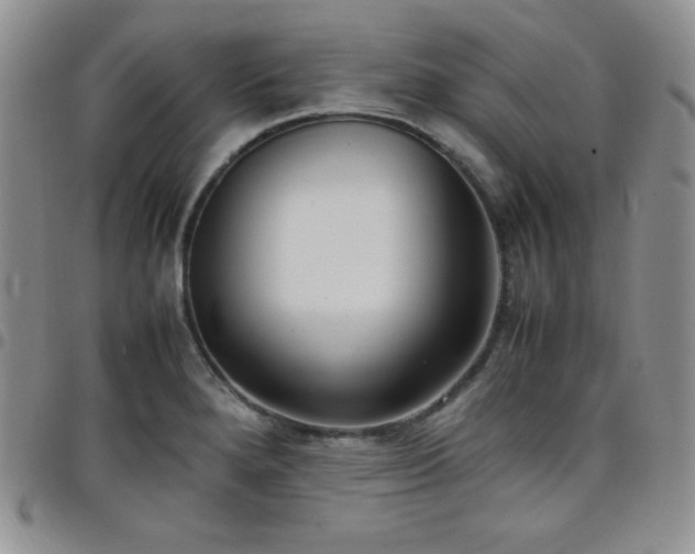 X0000099231280200805011129