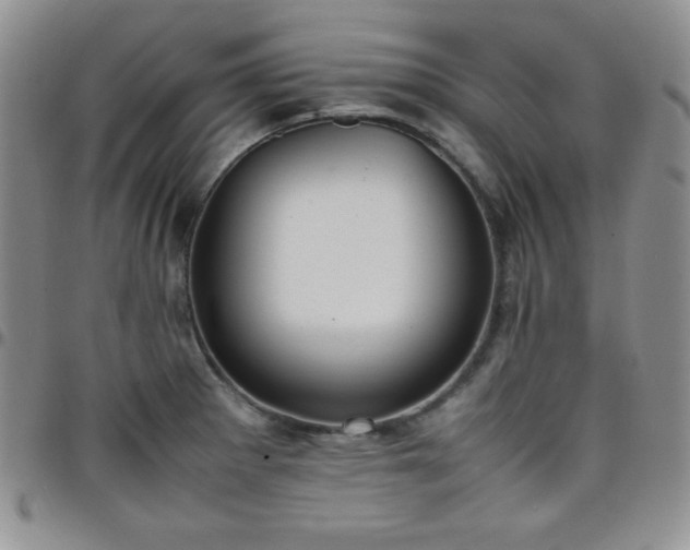 X0000099231281200805011129