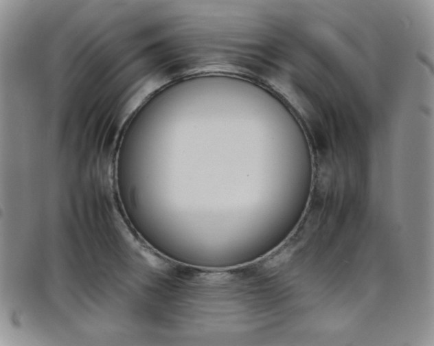 X0000099231282200805011129