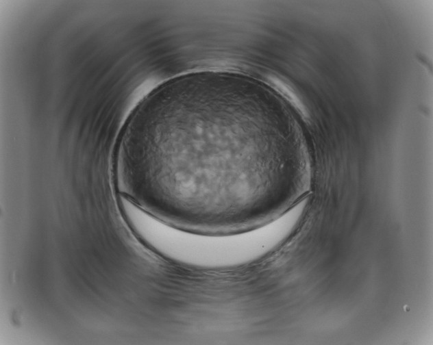 X0000099231283200805011129