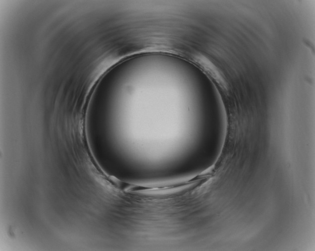 X0000099231284200805011129