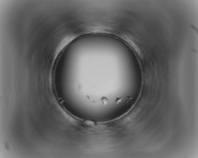 X0000099231285200805011129