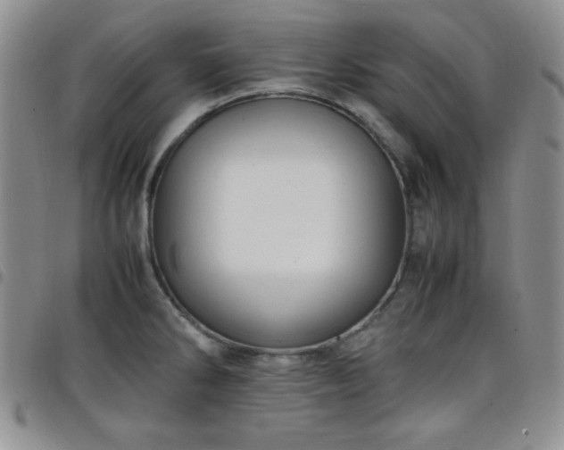 X0000099231286200805011129